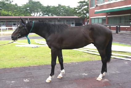 �ο��Ŀ� ����