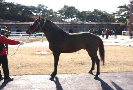 ��Ƽ�̵�� ����