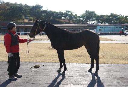 ������ ����