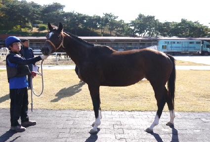 ���ۿ��� ����