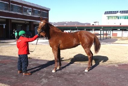 Į���� ����