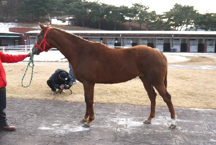 ������ũ ����