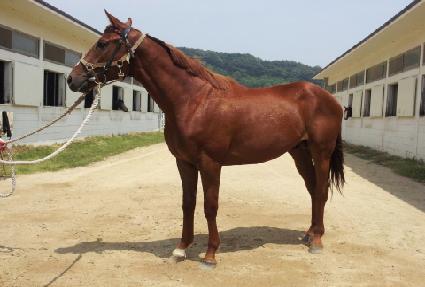 ����Ǻ� ����