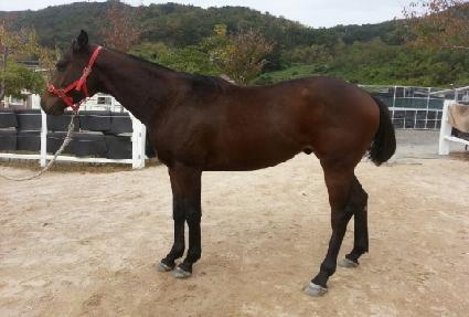 �������� ����