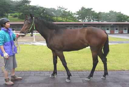 ����� ����