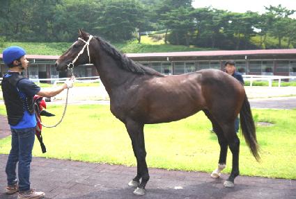 �ƶ��ƿ��� ����