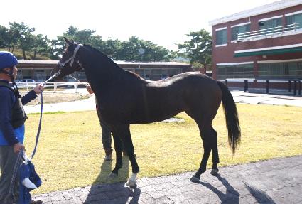 �ʿ��� ����