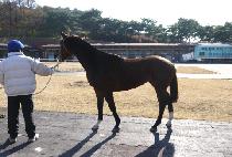 ��Ӵ� (BIG MONEY) ����