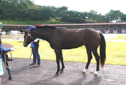 �ʿ��ź� ����