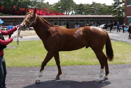 �ֿ��� ����