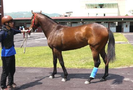 ������� ����