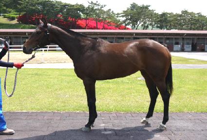 �����ư� ����