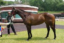 ������� (DUAL TO ME) ����