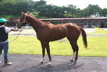 �ֻ����� (CHOESANG JILJU) ����