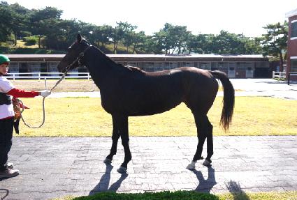 ���׳׿��� ����