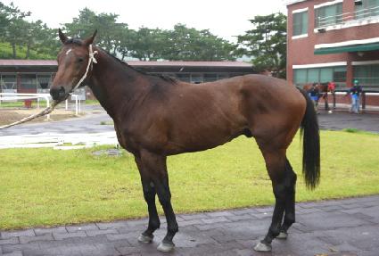 �������� ����