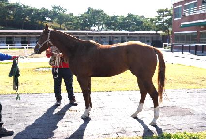 ������Ʈ ����