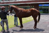 �������빰 (FOREVER DAEMUL) ����