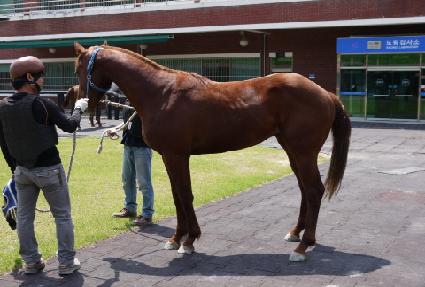 �������빰 ����