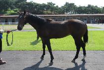 ��ǳ (GEOMPUNG) ����