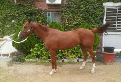 ����޴��� ����