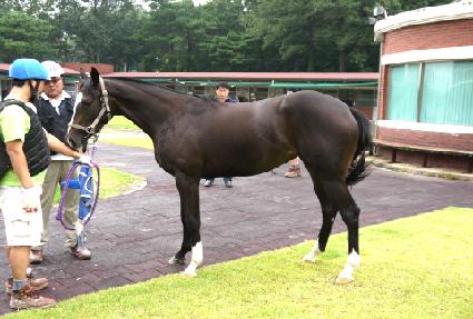 ��Ƶ ����