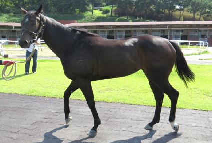 ��ȭ ����