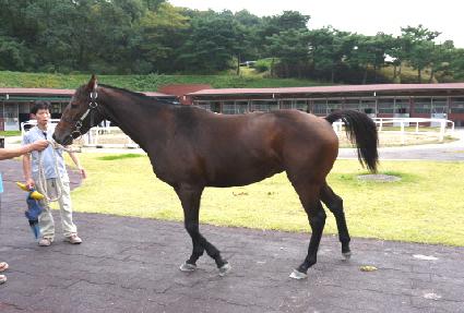 ų��罺 ����