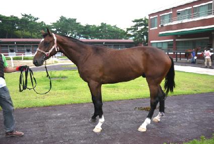 �ʴ��� ����