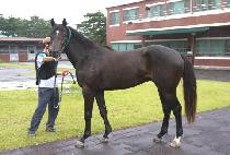 �۾���� (SONGAM JANGSU) ����