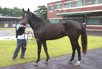 �۾���� ����