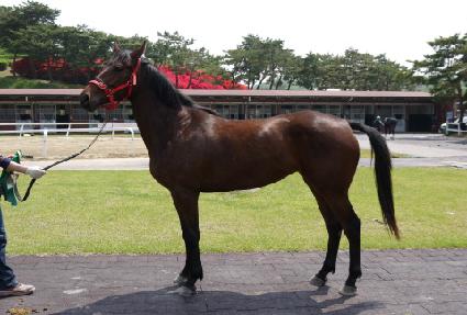 ������ ����