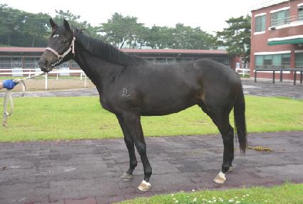 ������ ����