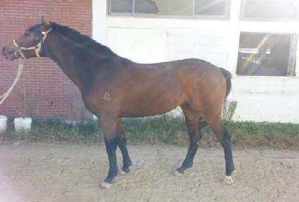 ���级 ����