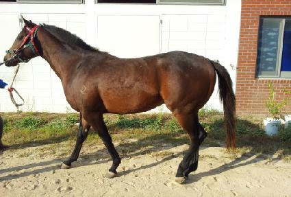 �۷θ������� ����