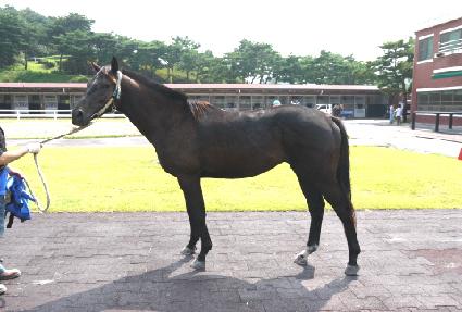 ����õ�� ����