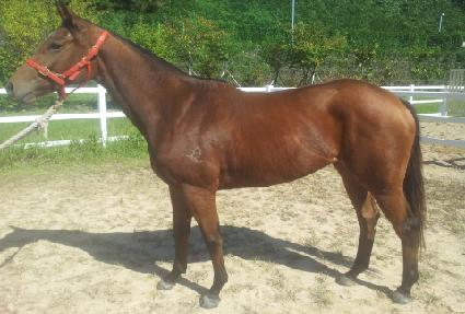 ������� ����