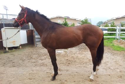 ������� ����