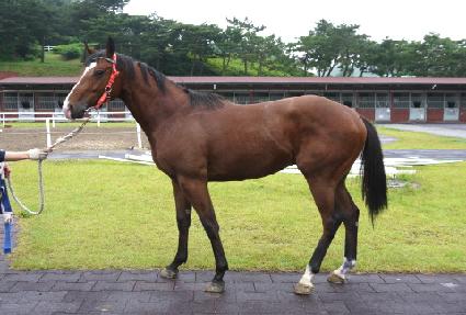 ���������� ����