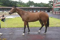 �������̾�Ʈ (MANU GIANT) ����