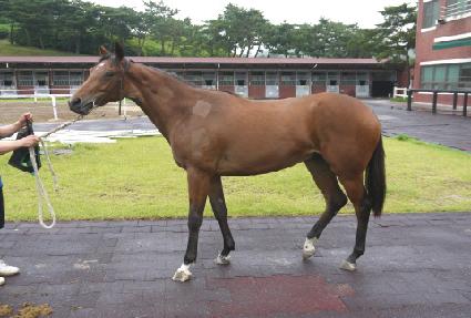 �������̾�Ʈ ����