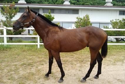 �������� ����