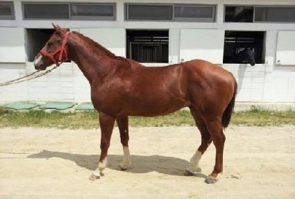 ���ڿ��� ����