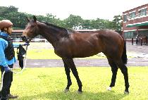 ����̸� (JEONGSANG MIREU) ����