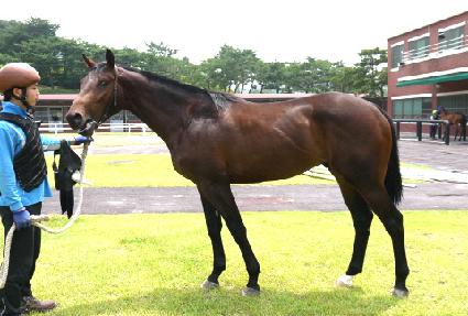 ����̸� ����