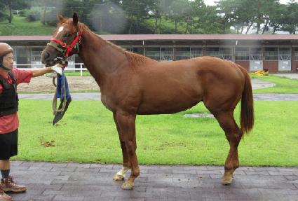 �Ƿ� ����