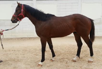 �Ǿط��� ����