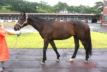 ��õ�� (GEUMCHEONJI) ����