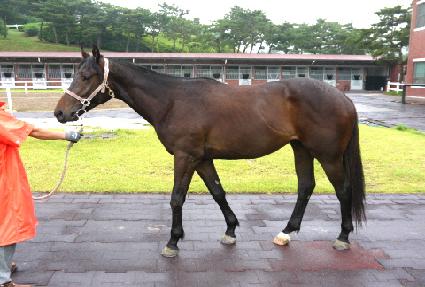 ��õ�� ����