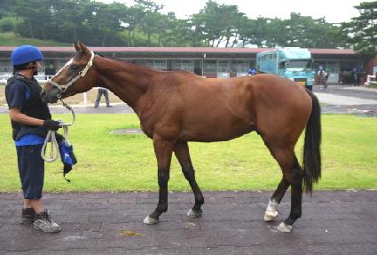 Ʈ���ö���Ʈ ����